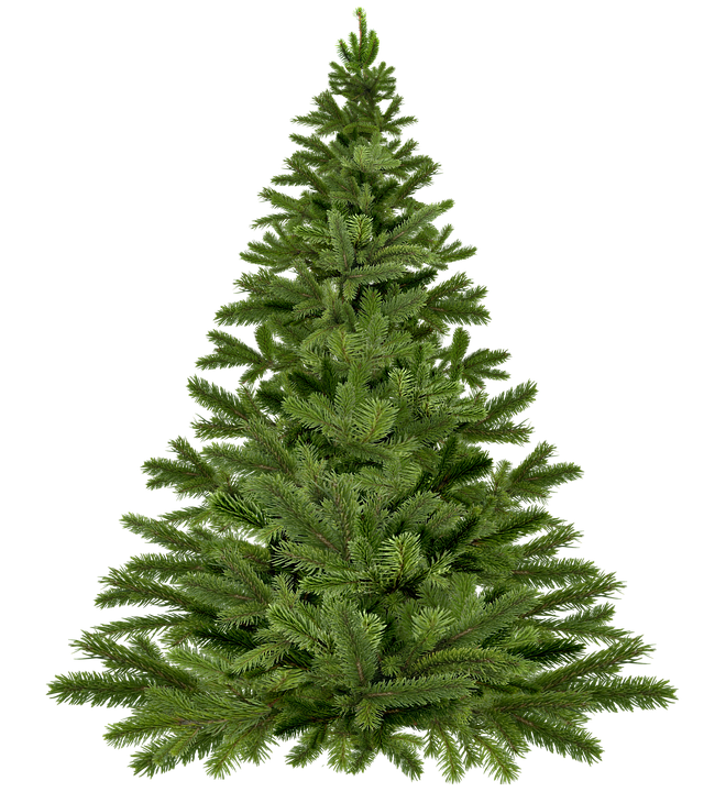 christmas-tree-christmas-1796131_960_720