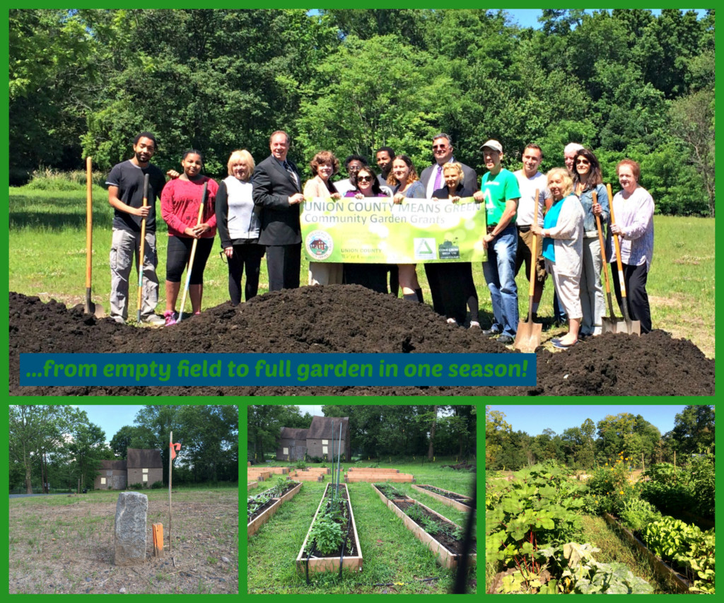 Fanwood receives Union County Means Green Community Garden Grant