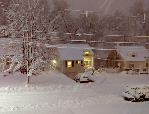 Winter Termination Program