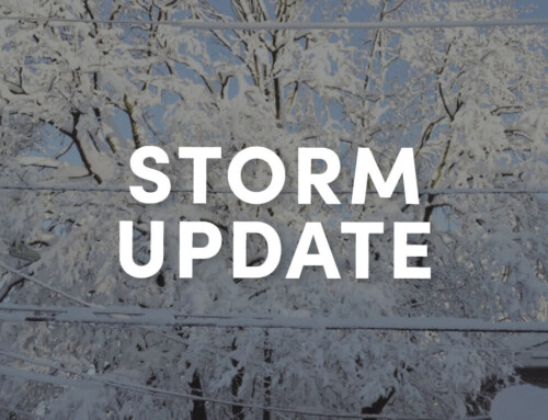 Snow Storm Alert – Update