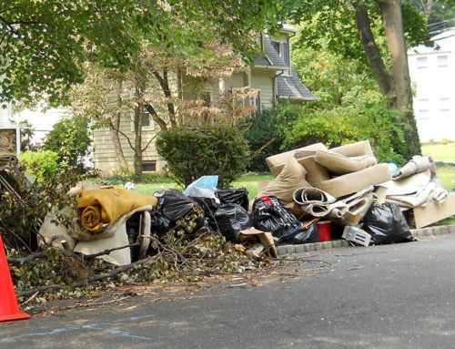 Residential Bulk Waste Cleanup Application