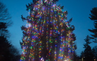 Tree lighting cropped