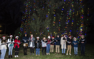 Tree lit with choir