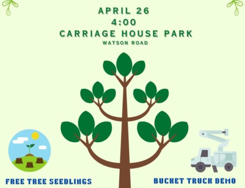 Celebrate Arbor Day with the Fanwood Shade Tree Commission