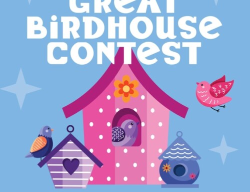 Great Birdhouse Contest Winners Announced