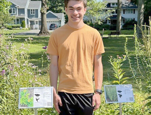 Eli Krantz Completes Native, Invasive Plants Guides for Fanwood’s Environmental Commission