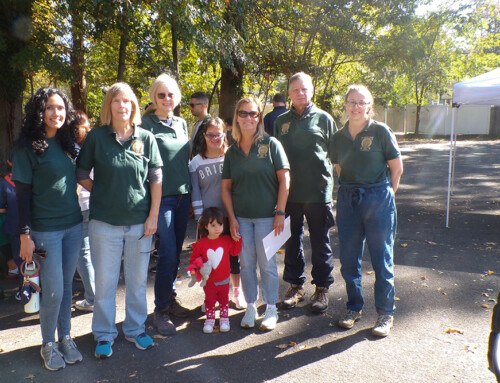 Youth Day Gives Scouts Opportunities to Complete Badges While Learning About Nature