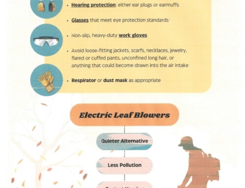 Leaf Blowing Safety From the BOH