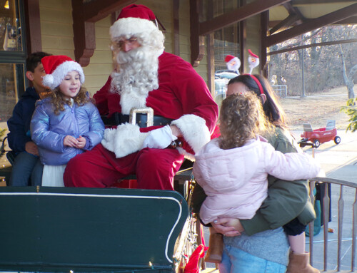 Hundreds Attend Holiday Celebration and Tree Lighting