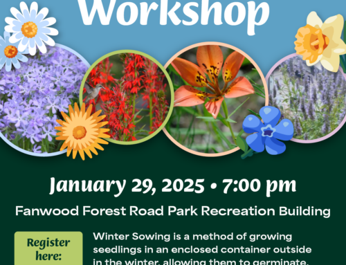 Winter Sowing Workshop