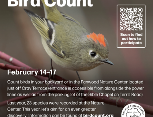 The Great Backyard Bird Count