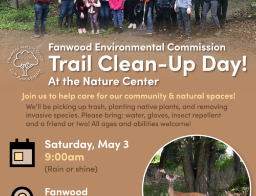 Nature Center Trail Clean-Up Day – Saturday, May 3!