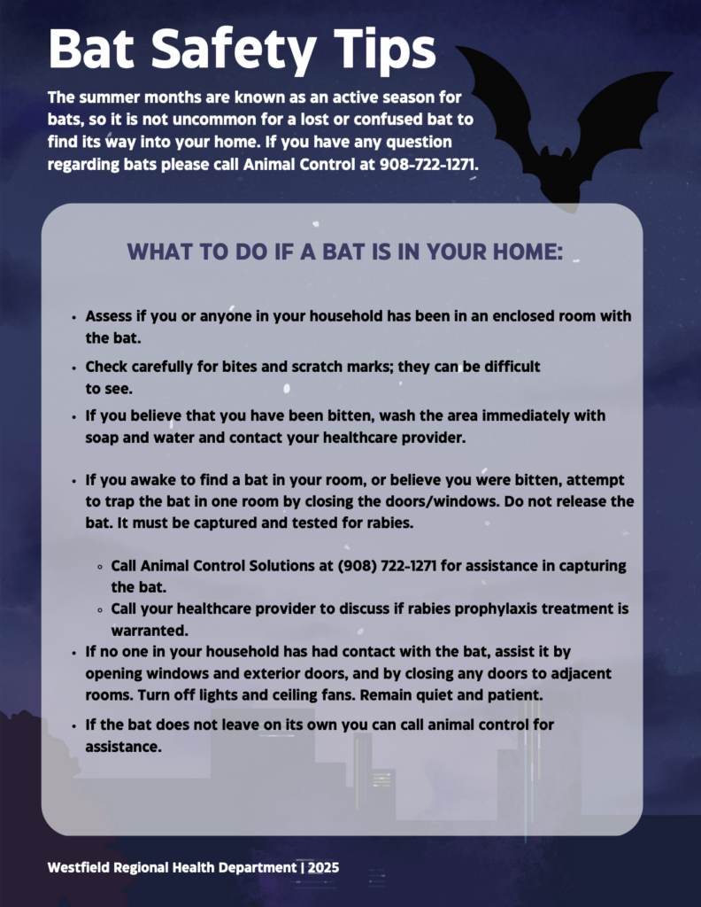 Bat Safety Tips