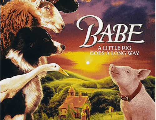 Movies Under the Stars – Babe July 15th