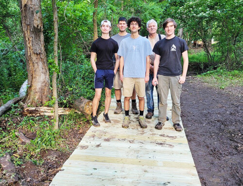 Paul Allen Reconstructs Section of the Boardwalk Path at Nature Center for Eagle Scout Project