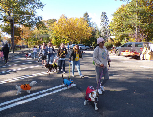 Fan Woof Day Draws Crowd to Northside Train Station