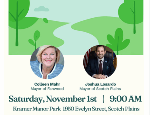Walk with the Mayors
