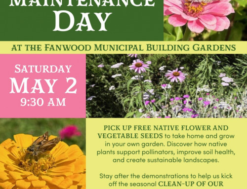 Garden Clean-Up & Native Plant Day May 2