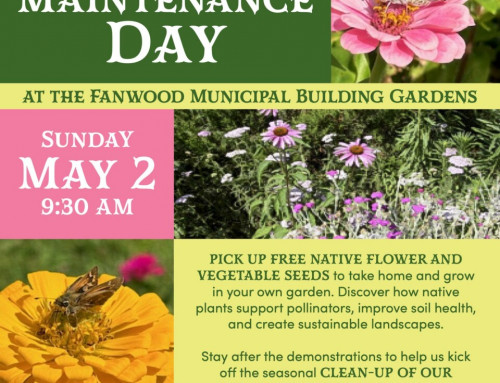 Garden Clean-Up & Native Plant Day May 2