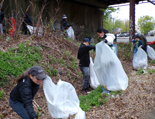 Volunteers Take Part in Fanwood’s 37th Clean Community Day