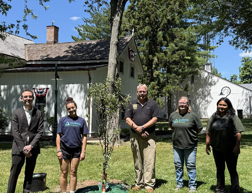 Groundwork Elizabeth Plants Apple Tree at Borough Hall