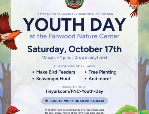 Youth Day at the Fanwood Nature Center!